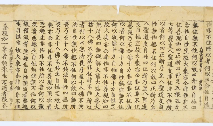 Mahāprajñāpāramitā Sūtra, Fascicle 417 Page 8