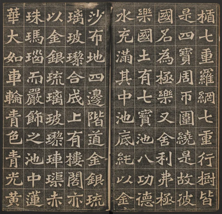 The Buddha Speaks the Amitabha Sutra Page 5