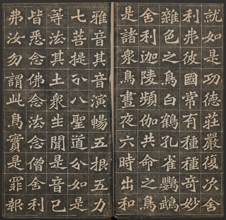 The Buddha Speaks the Amitabha Sutra Page 7