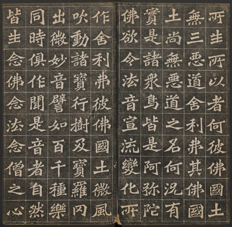 The Buddha Speaks the Amitabha Sutra Page 8