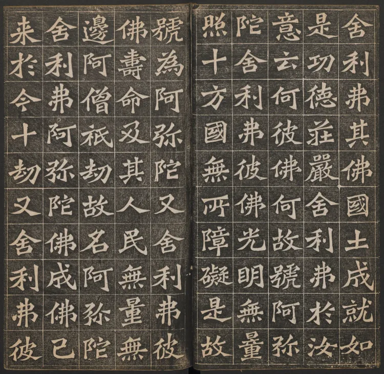 The Buddha Speaks the Amitabha Sutra Page 9