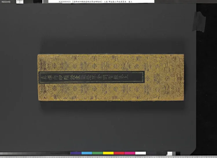 Vajra Wisdom Sutra on True Chan Inner Seal, Sudden Realization, Void Quiescence, and the Dharma Realm Page 2
