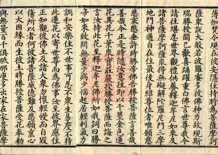 The Mahāprajñāpāramitā Sūtra in Six Hundred Volumes Page 3