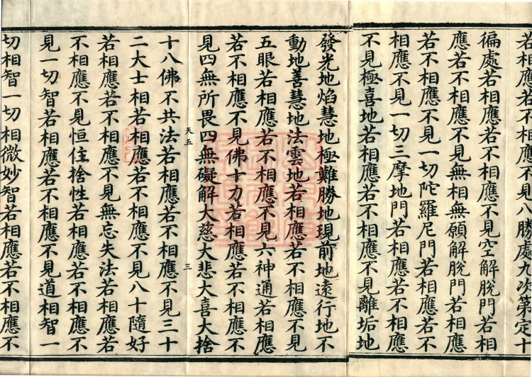 The Mahāprajñāpāramitā Sūtra in Six Hundred Volumes Page 5