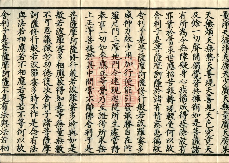 The Mahāprajñāpāramitā Sūtra in Six Hundred Volumes Page 9