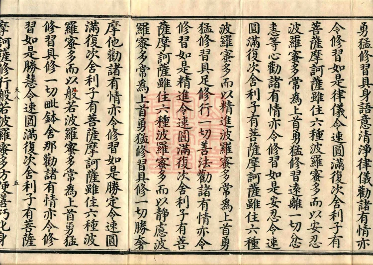 The Mahāprajñāpāramitā Sūtra in Six Hundred Volumes Page 8