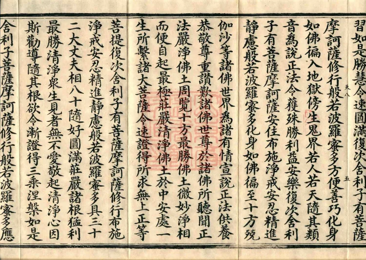 The Mahāprajñāpāramitā Sūtra in Six Hundred Volumes Page 9