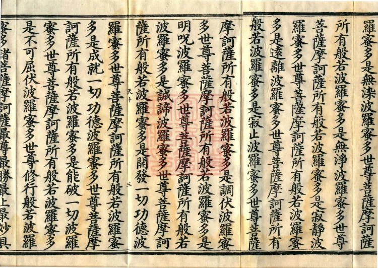 The Mahāprajñāpāramitā Sūtra in Six Hundred Volumes Page 5