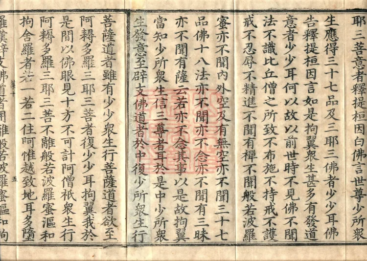 The Sutra of Radiant Prajnaparamita in Thirty Volumes Page 8