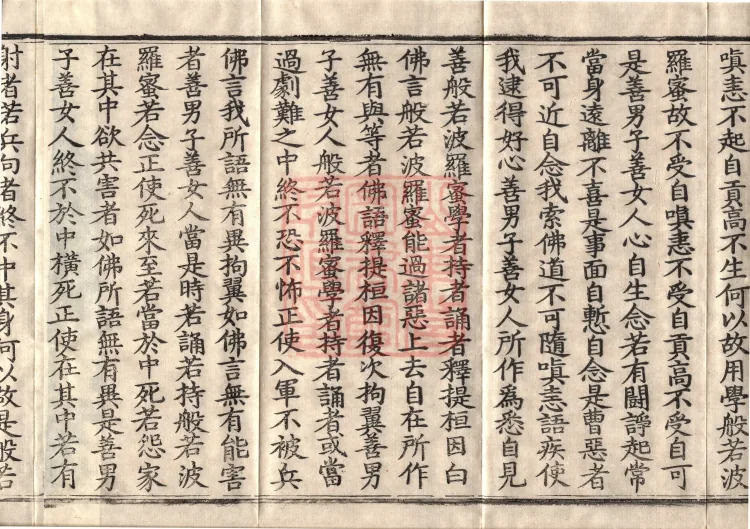 The Path-Practice Prajnaparamita Sutra in Ten Volumes Page 6