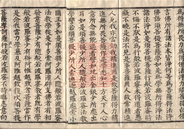 The Path-Practice Prajnaparamita Sutra in Ten Volumes Page 8