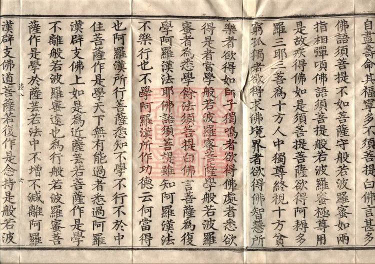 The Path-Practice Prajnaparamita Sutra in Ten Volumes Page 10