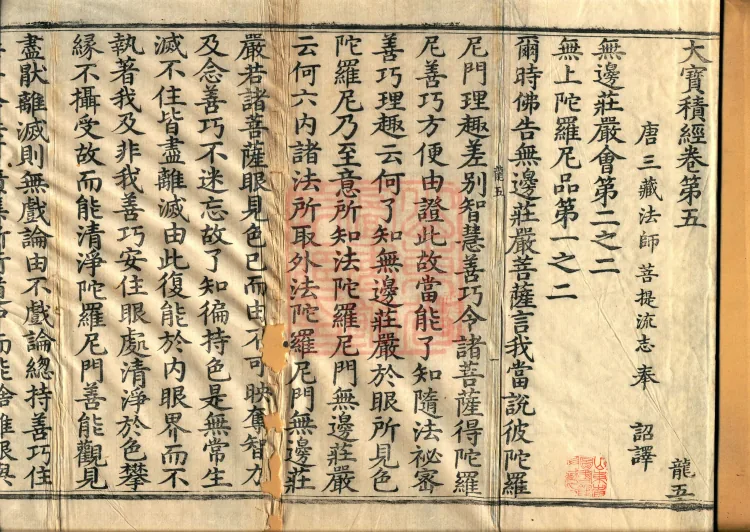 The Great Treasury Sūtra in One Hundred and Twenty Volumes Page 2