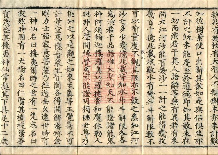 The Great Treasury Sūtra in One Hundred and Twenty Volumes Page 4