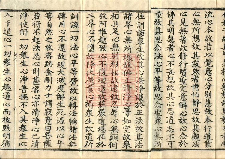 The Great Treasury Sūtra in One Hundred and Twenty Volumes Page 10