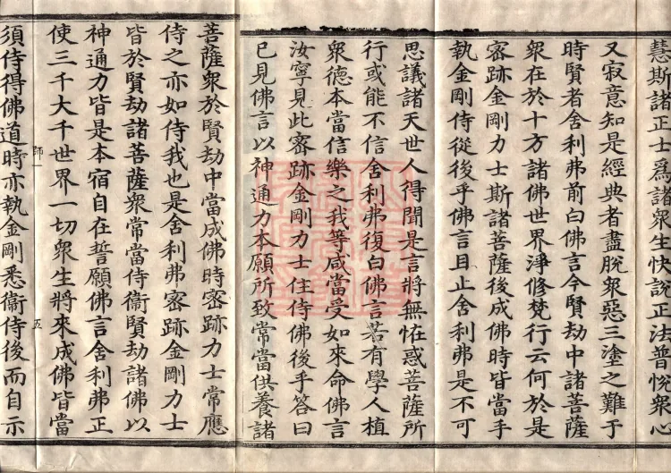 The Great Treasury Sūtra in One Hundred and Twenty Volumes Page 9