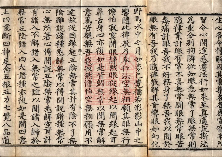 The Great Treasury Sūtra in One Hundred and Twenty Volumes Page 5