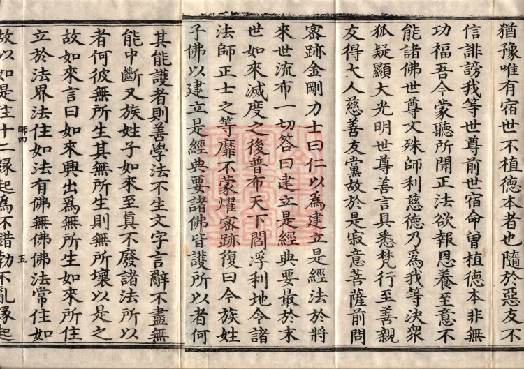 The Great Treasury Sūtra in One Hundred and Twenty Volumes Page 8