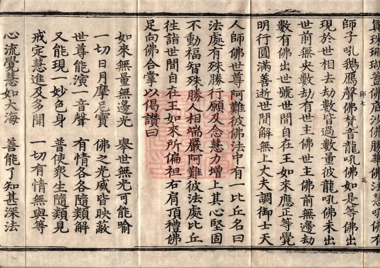The Great Treasury Sūtra in One Hundred and Twenty Volumes Page 8