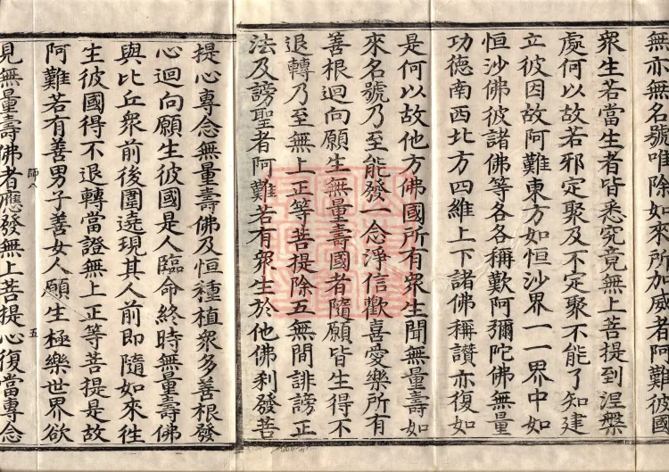 The Great Treasury Sūtra in One Hundred and Twenty Volumes Page 8
