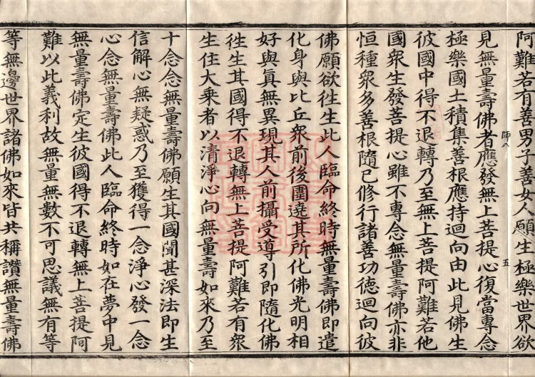 The Great Treasury Sūtra in One Hundred and Twenty Volumes Page 9