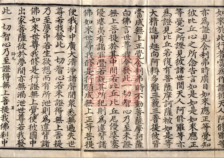 The Great Treasury Sūtra in One Hundred and Twenty Volumes Page 8
