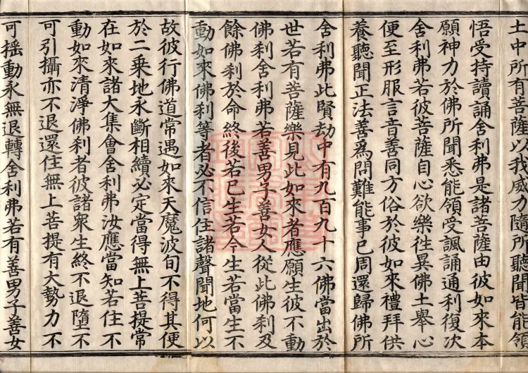 The Great Treasury Sūtra in One Hundred and Twenty Volumes Page 2