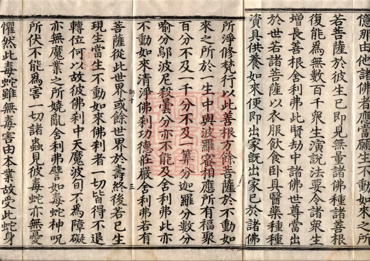 The Great Treasury Sūtra in One Hundred and Twenty Volumes Page 4