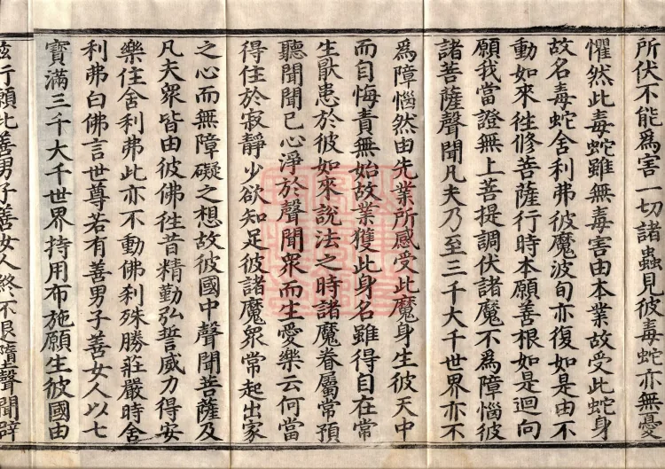 The Great Treasury Sūtra in One Hundred and Twenty Volumes Page 5