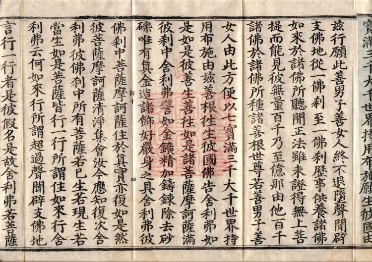 The Great Treasury Sūtra in One Hundred and Twenty Volumes Page 6