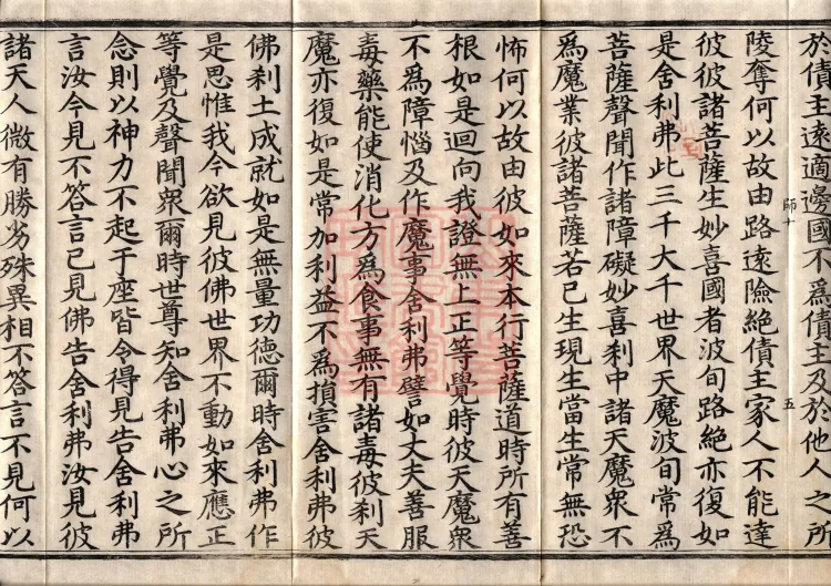 The Great Treasury Sūtra in One Hundred and Twenty Volumes Page 8