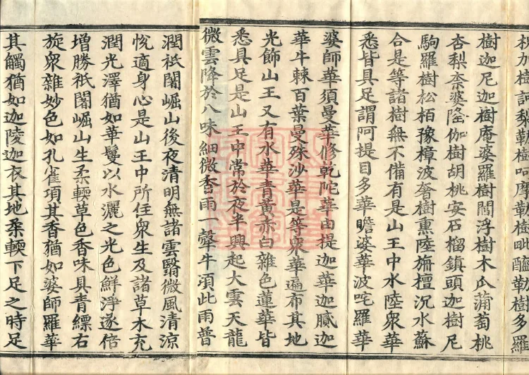 The Sūtra of the Three Precepts of the Great Mahāvairochana, Three Fascicles Page 5