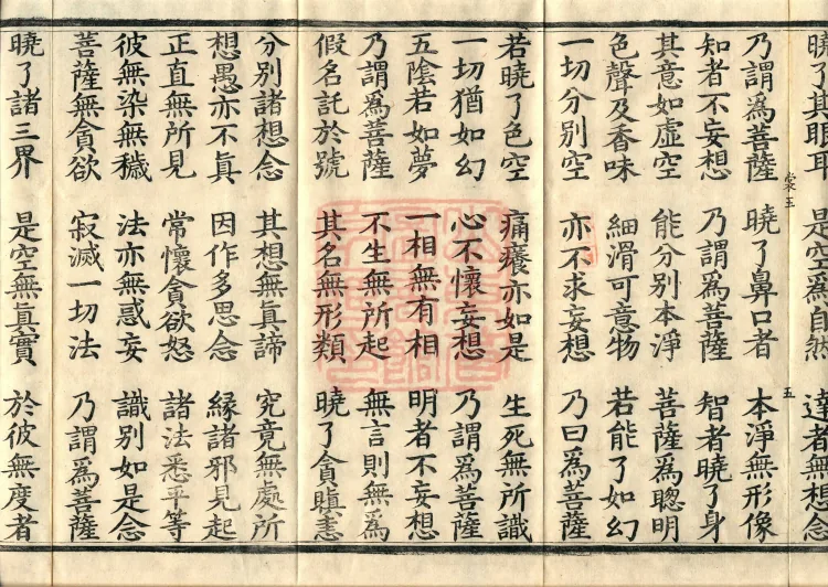 The Buddha's Discourse on the Illusory Samadhi, three juan Page 8