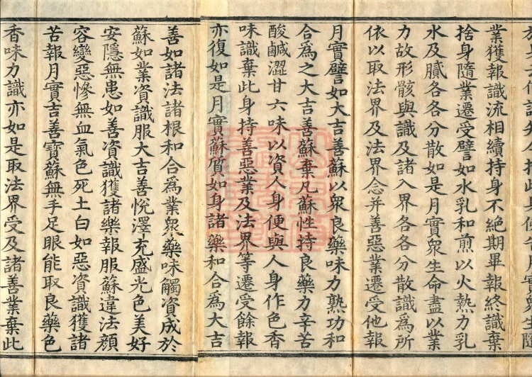 The Mahayana Exposition on Consciousness Sutra, two juan Page 3