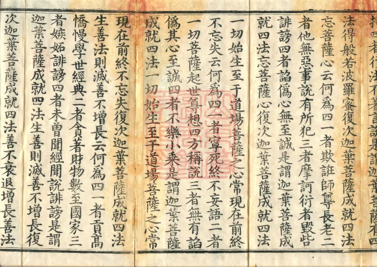 The Buddha Speaks the Mahāyānā Mahāyānabhaya Treasure-Adornment Sutra, one volume Page 3
