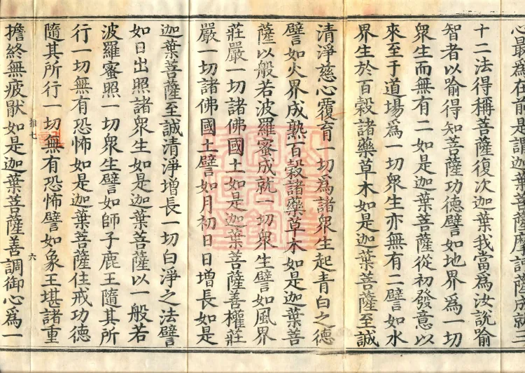 The Buddha Speaks the Mahāyānā Mahāyānabhaya Treasure-Adornment Sutra, one volume Page 10