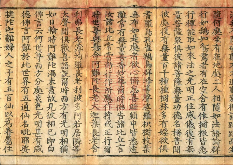 The Viyesa Questions Sutra, two fascicles Page 3