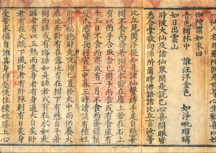 The Viyesa Questions Sutra, two fascicles Page 5