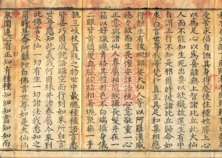The Viyesa Questions Sutra, two fascicles Page 6