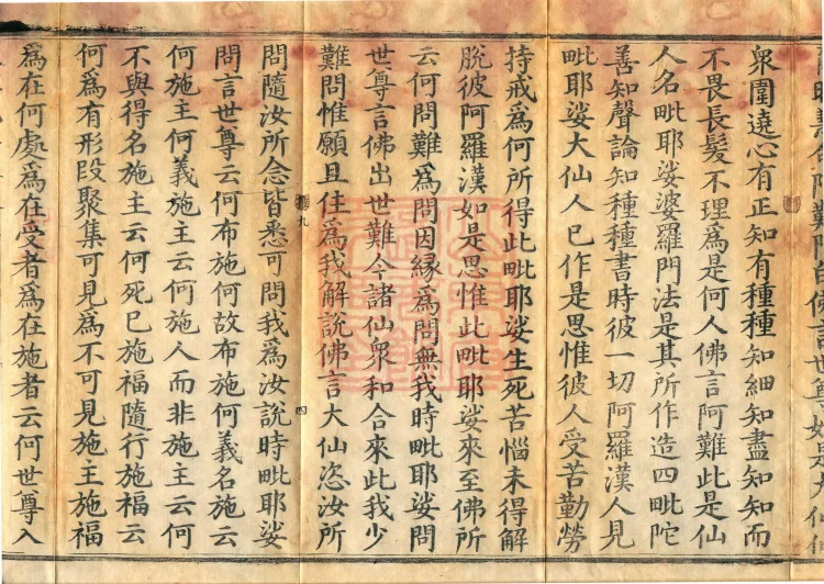 The Viyesa Questions Sutra, two fascicles Page 7