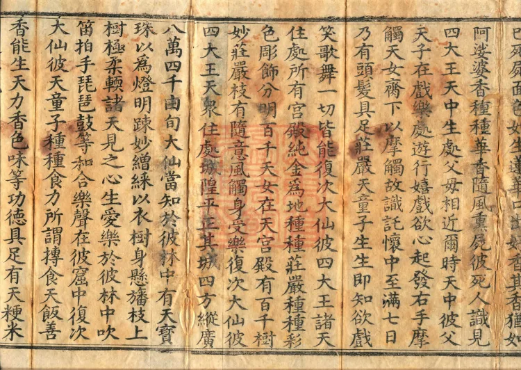 The Viyesa Questions Sutra, two fascicles Page 3