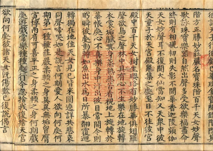 The Viyesa Questions Sutra, two fascicles Page 6