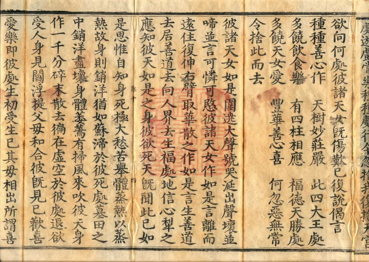The Viyesa Questions Sutra, two fascicles Page 7