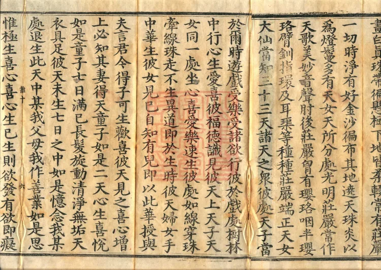 The Viyesa Questions Sutra, two fascicles Page 10