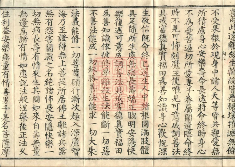 大乘大集地藏十轮经十卷 Page 9
