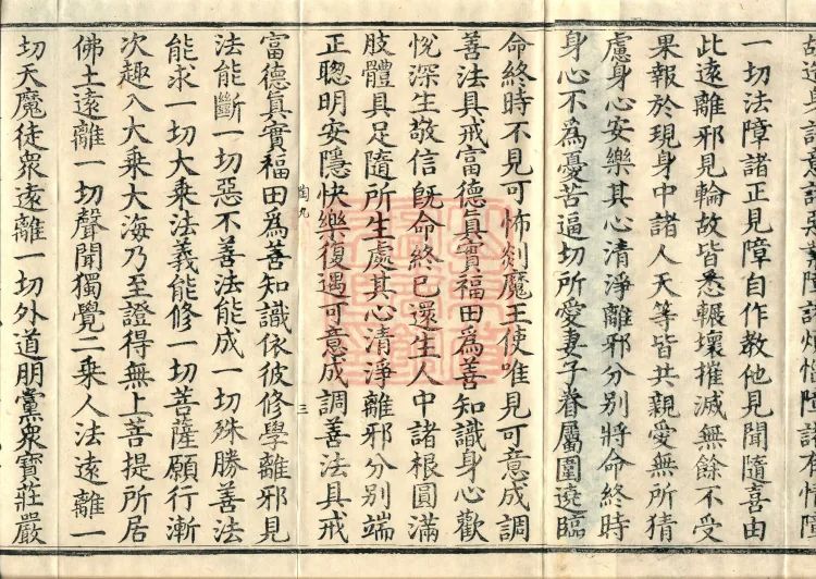 大乘大集地藏十轮经十卷 Page 5