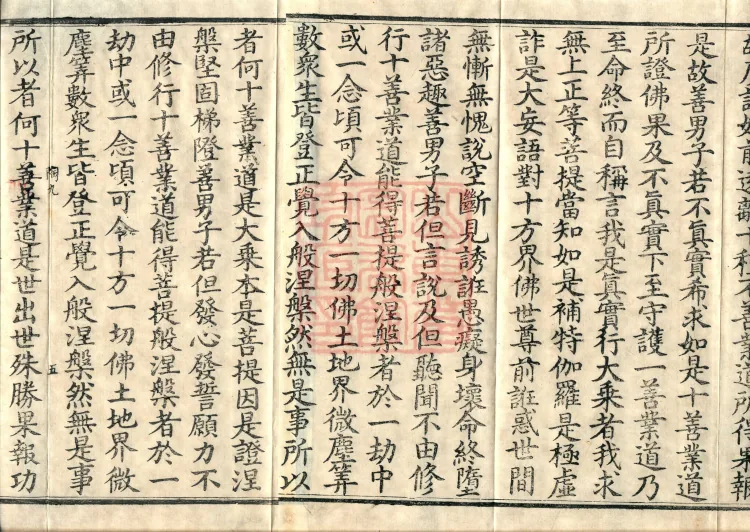 大乘大集地藏十轮经十卷 Page 8