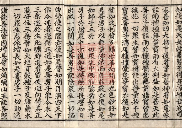 佛说大方广十轮经八卷 Page 3