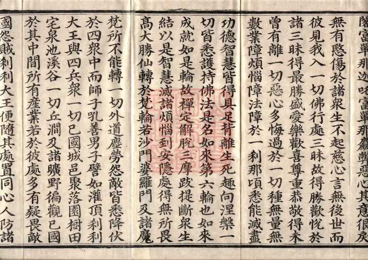 佛说大方广十轮经八卷 Page 3