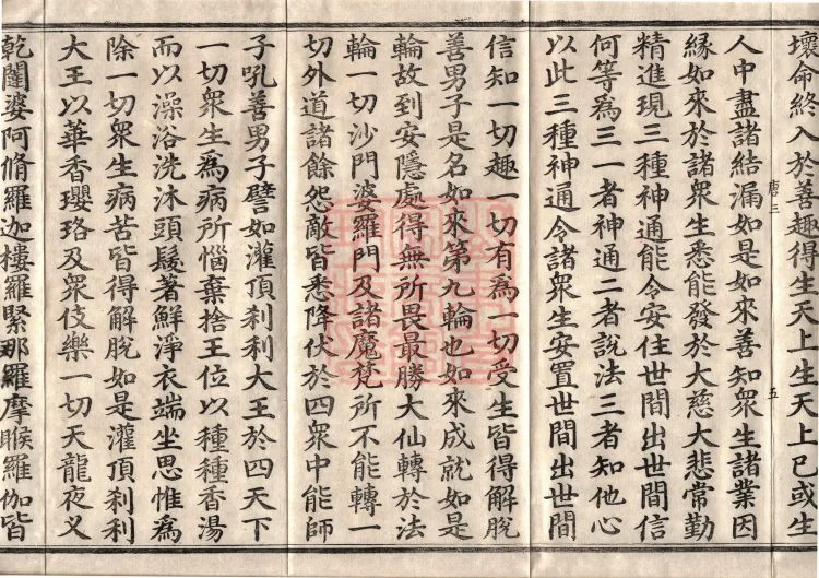 佛说大方广十轮经八卷 Page 9